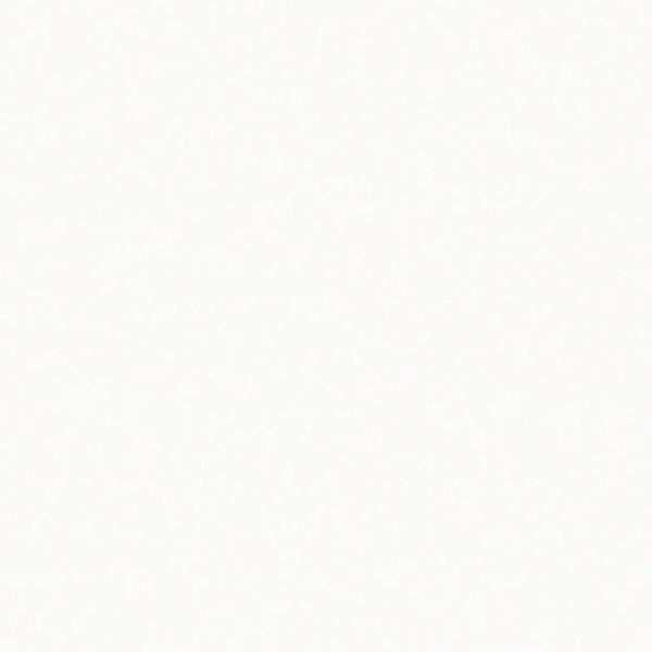 Đá Solid Surface LG - S006 Arctic White 3 Đá Solid Surface LG - S006 Arctic White